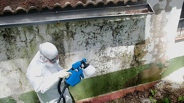 Clearance testing in West Salisbury